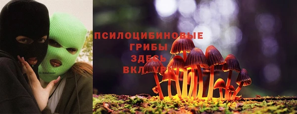 MDMA Алексин