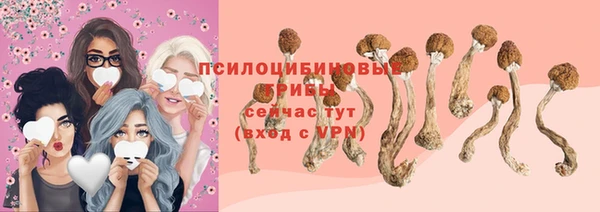 гашик Аркадак