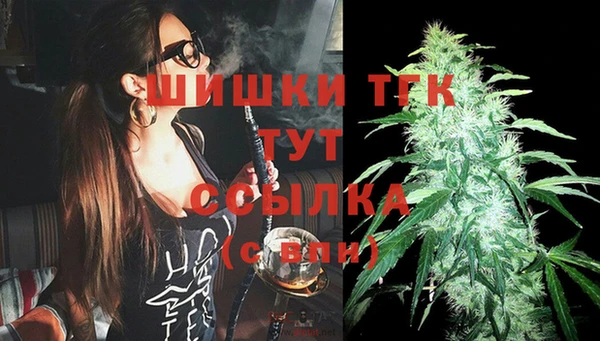 гашик Аркадак