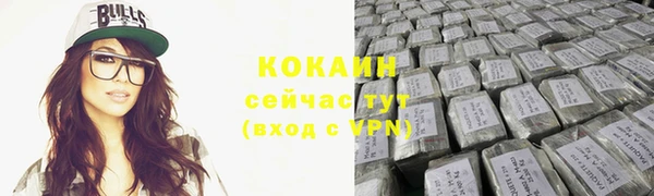 гашик Аркадак