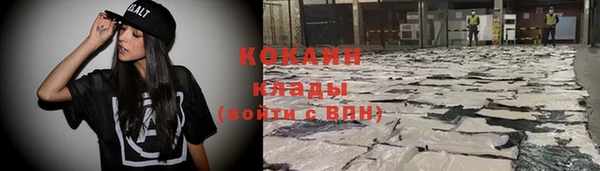 гашик Аркадак