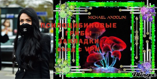 гашик Аркадак