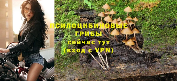 гашик Аркадак