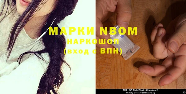 гашик Аркадак