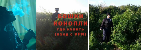 гашик Аркадак