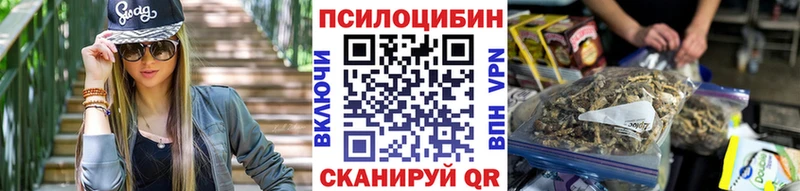 купить наркотики цена Цивильск ОМГ ОМГ ONION Галлюциногенные грибы GOLDEN TEACHER